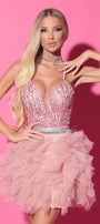 MINI CONJUNTO TOP CON FALDA NELLIE ЕNCAJE BRILLANTE TUL POLVO ROSA