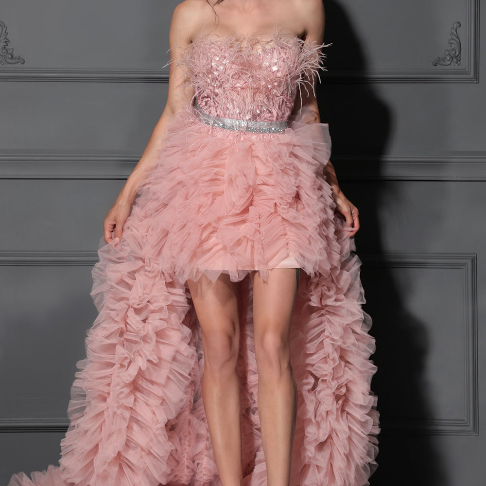 MAXI SKIRT AND CROP TOP SET CAROLINA GLITTER LACE FEATHERS TULLE POWDER PINK